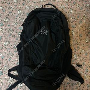 아크테릭스 맨티스26 블랙 구형