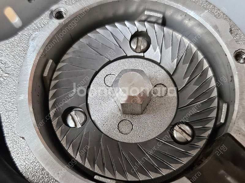 유레카 미뇽 스페셜리타 화이트--5