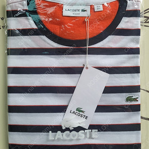 lacoste stripe t-shirts 라은드 반팔