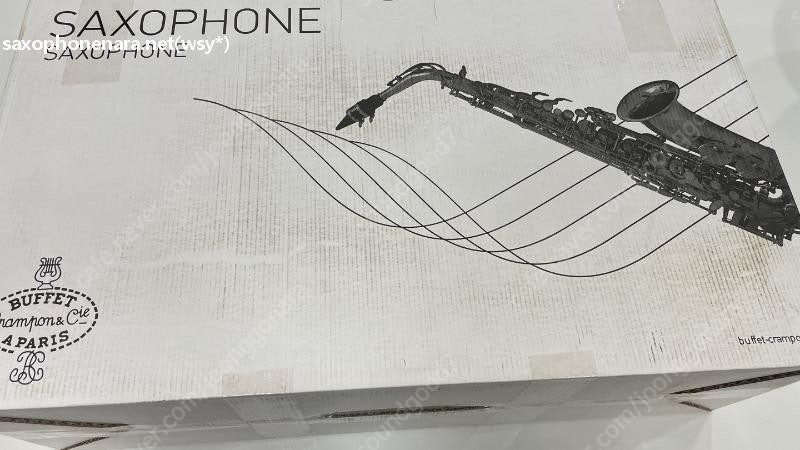 Buffet Crampon Senzo 부페 센조 전문가용 알토색소폰 이미지