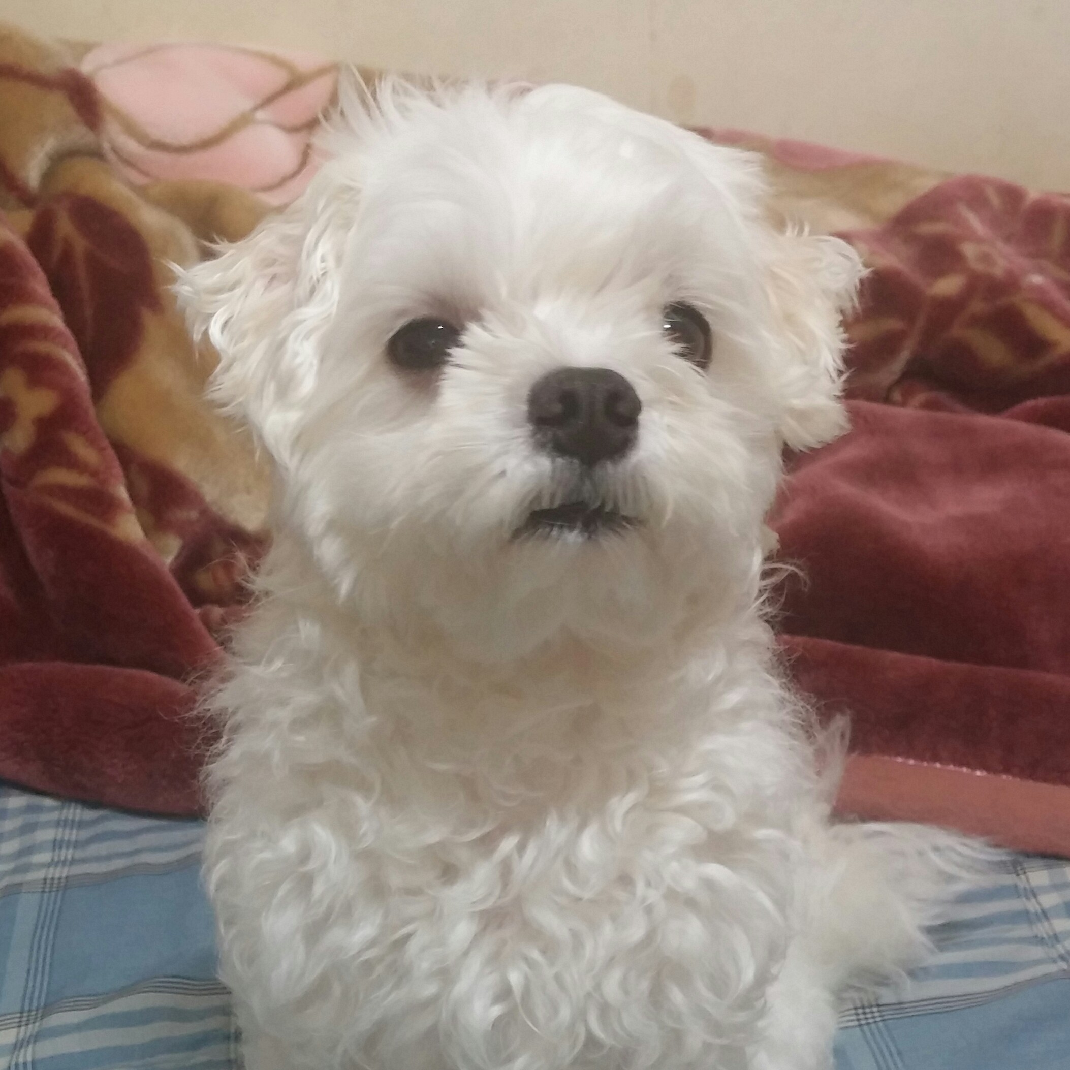 profile-image