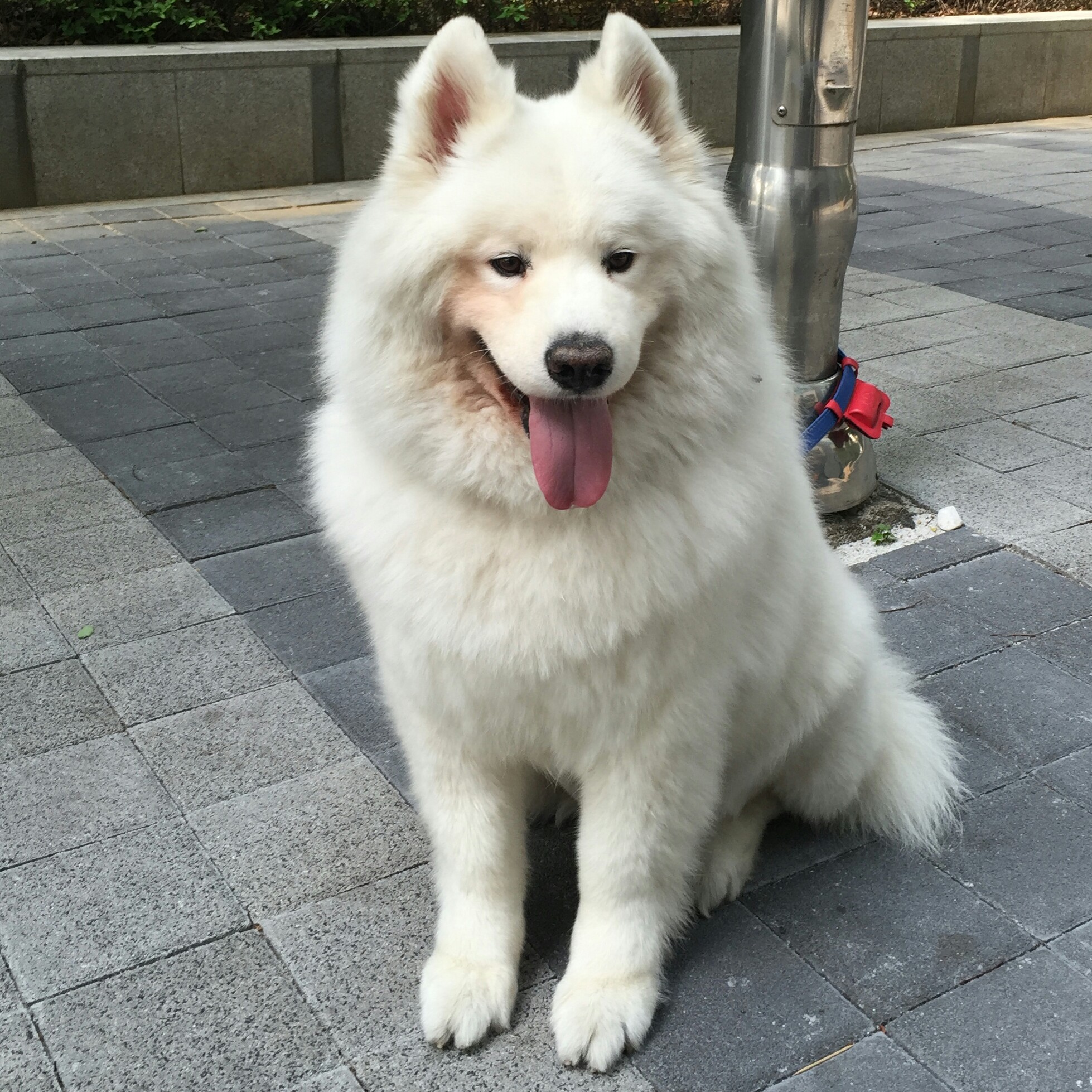 profile-image