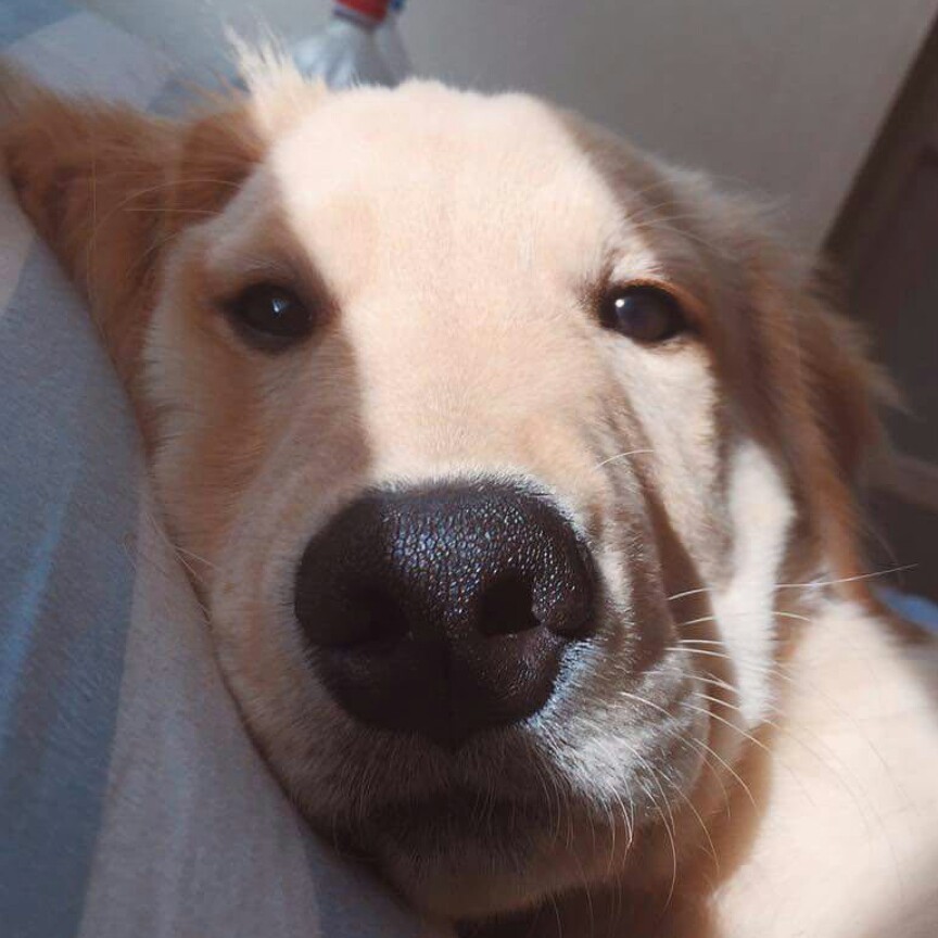 profile-image
