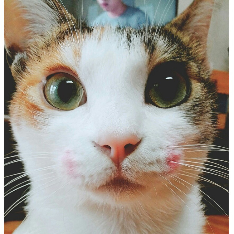 profile-image