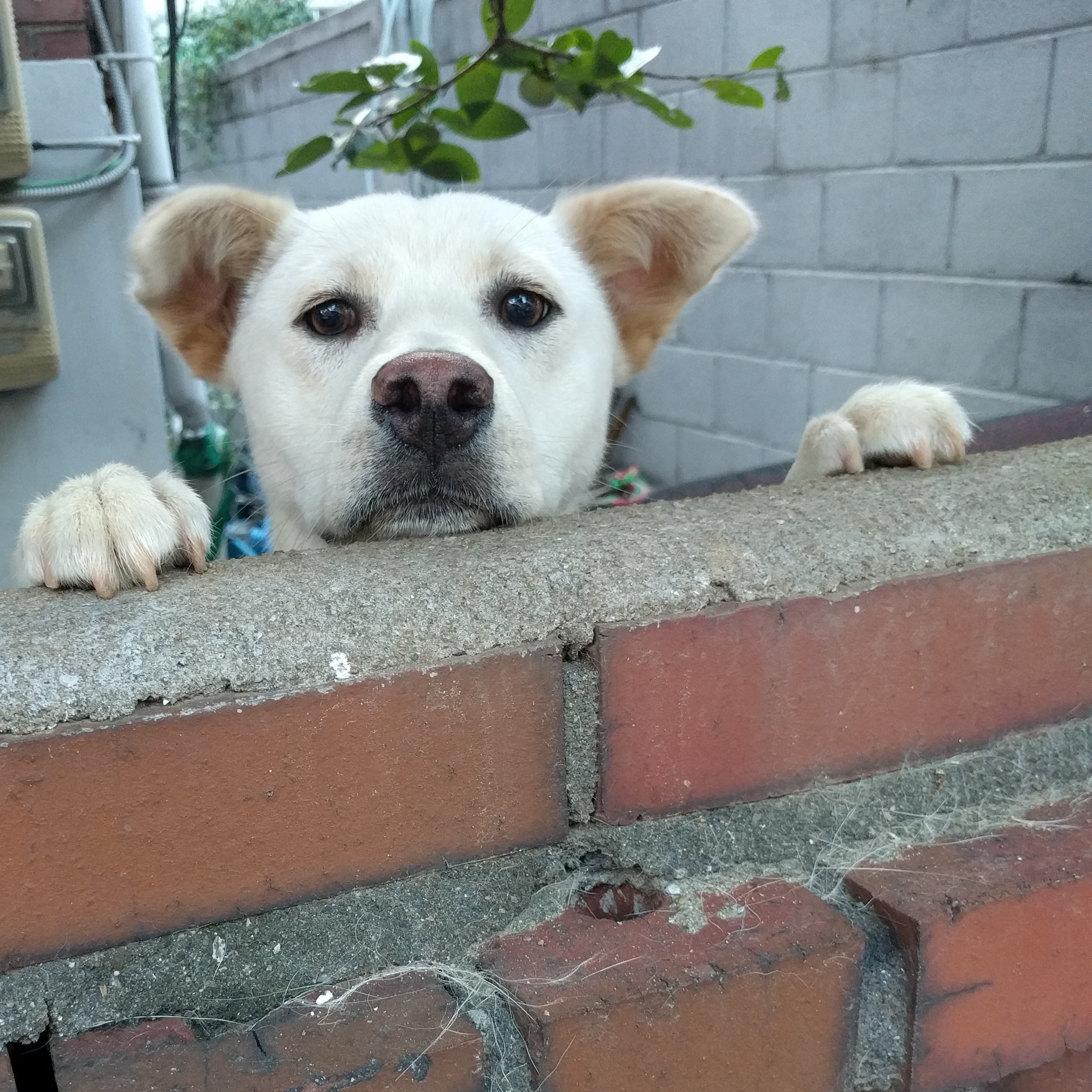 profile-image
