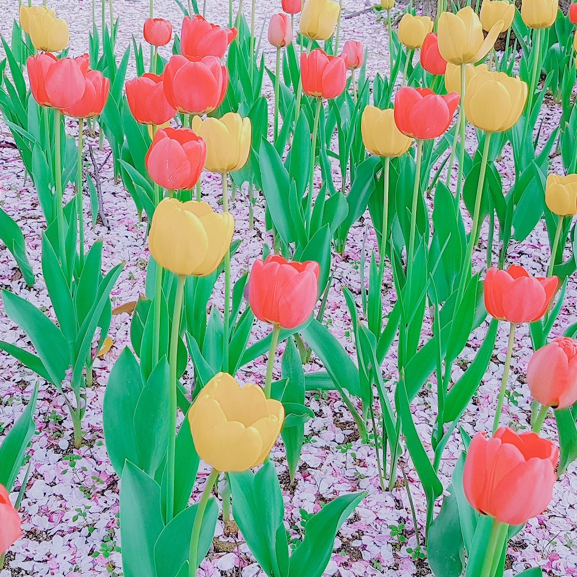 프로파일