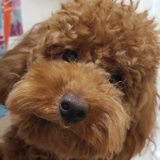 프로필 이미지