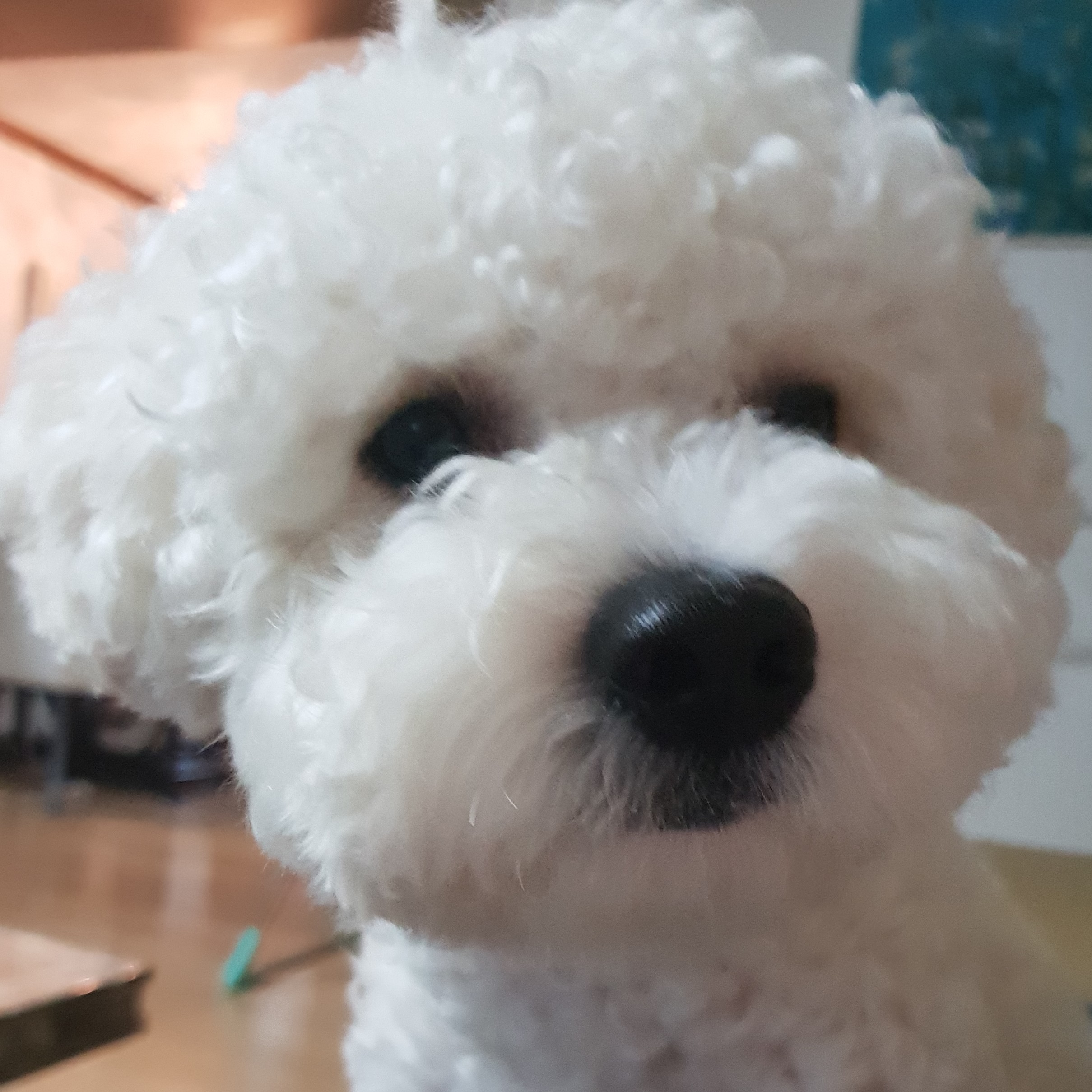 profile-image