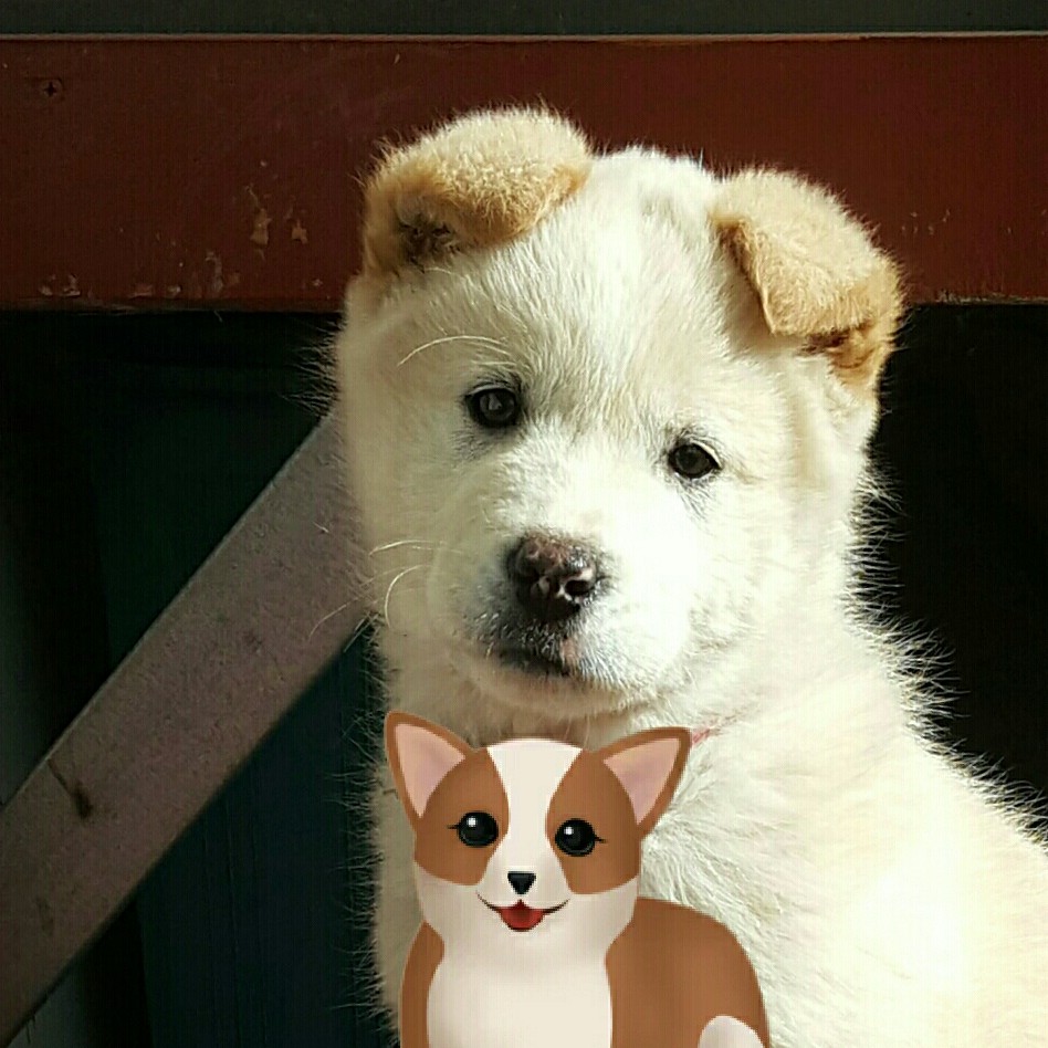 프로필 이미지
