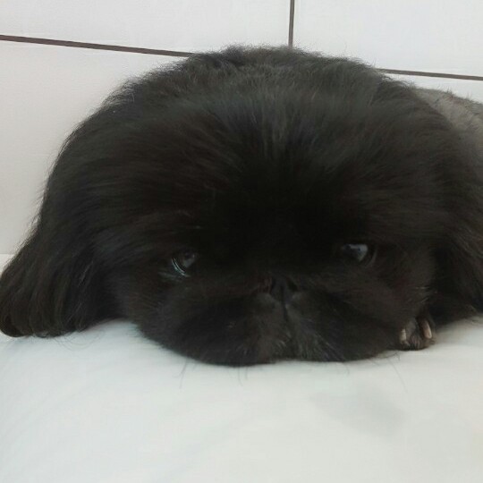 프로파일