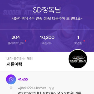 넥슨 만원 이내 패키지 8천원 구매