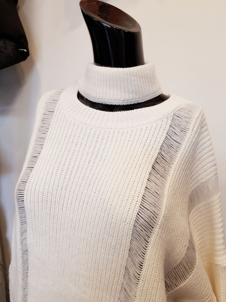 섹시폴라 이미지