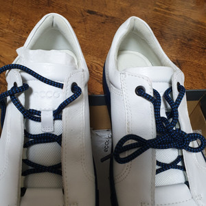 에코 일상화입니다.