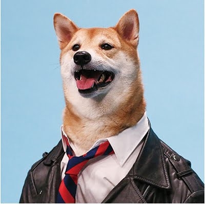 profile-image