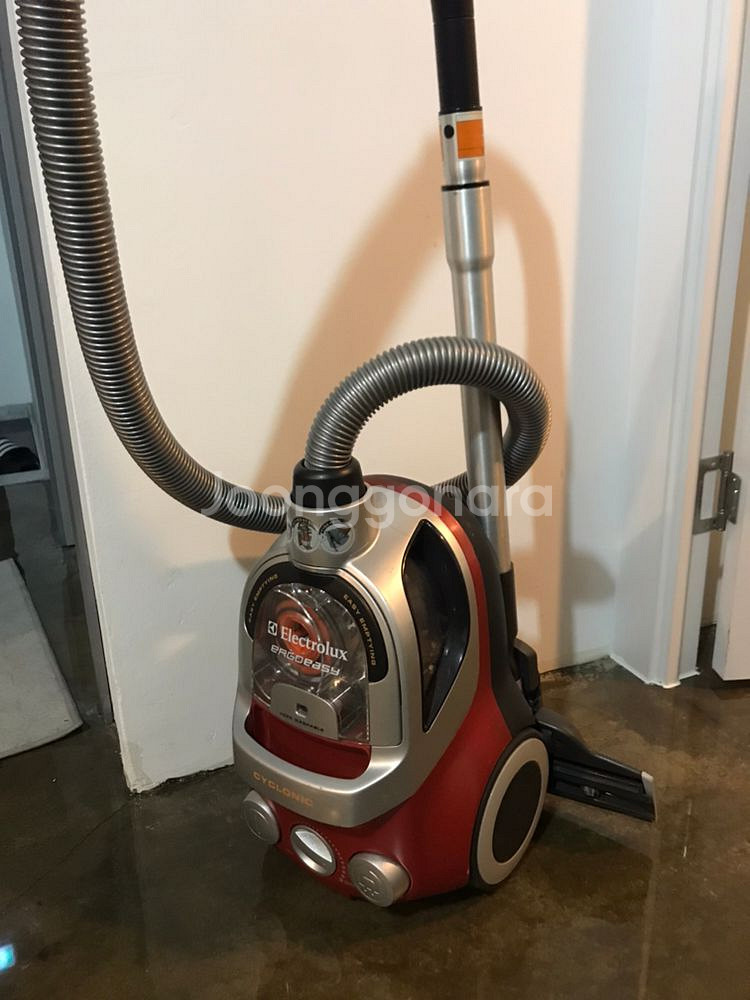 Electrolux 일렉트로룩스 청소기 에르고이지--0