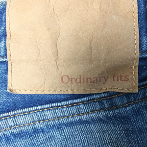 ordinary fit