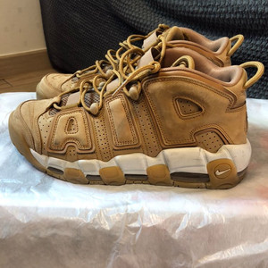 나이키Uptempo 96 premium/270