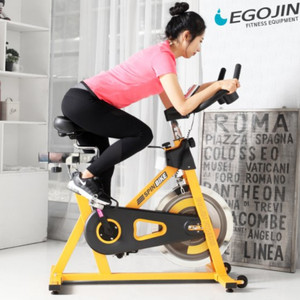 이고진 스피닝 자전거 901s