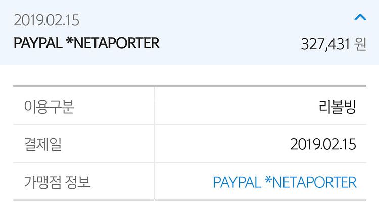 로에베 라피아백 스몰(정품)--2