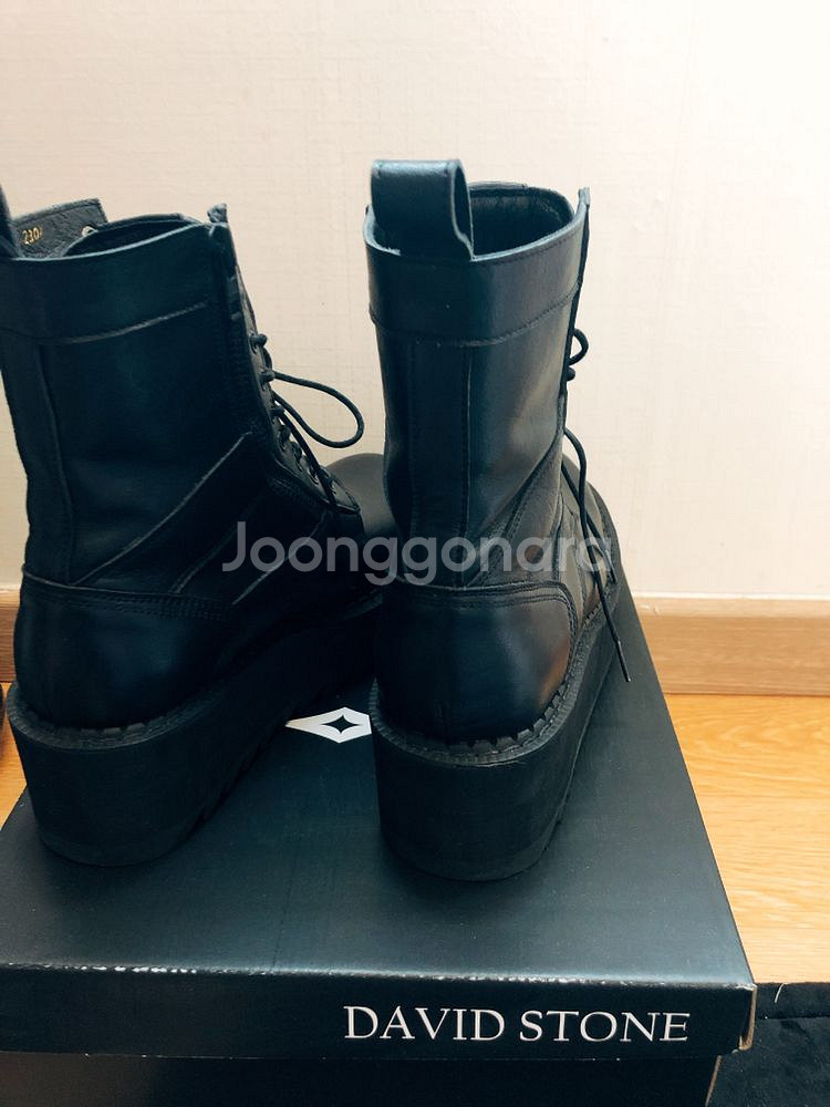 데이빗스톤--3