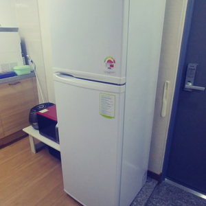 냉장고 (fr-b245se)