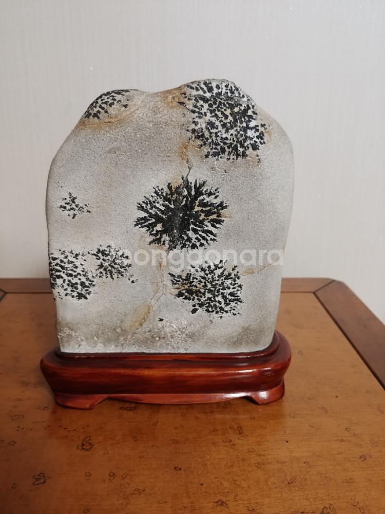 수석,자연석,꽃--0