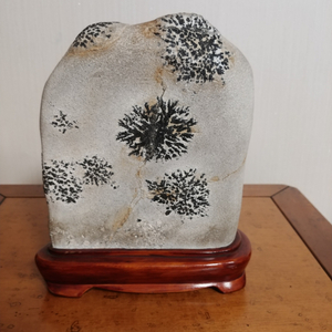 수석,자연석,꽃