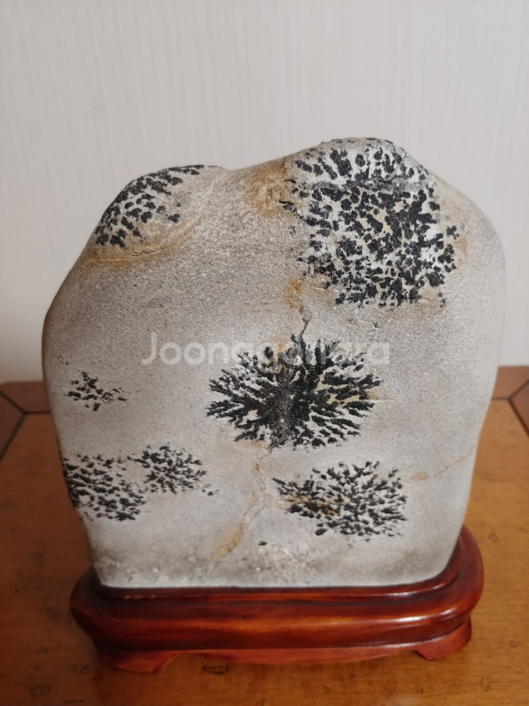 수석,자연석,꽃--2