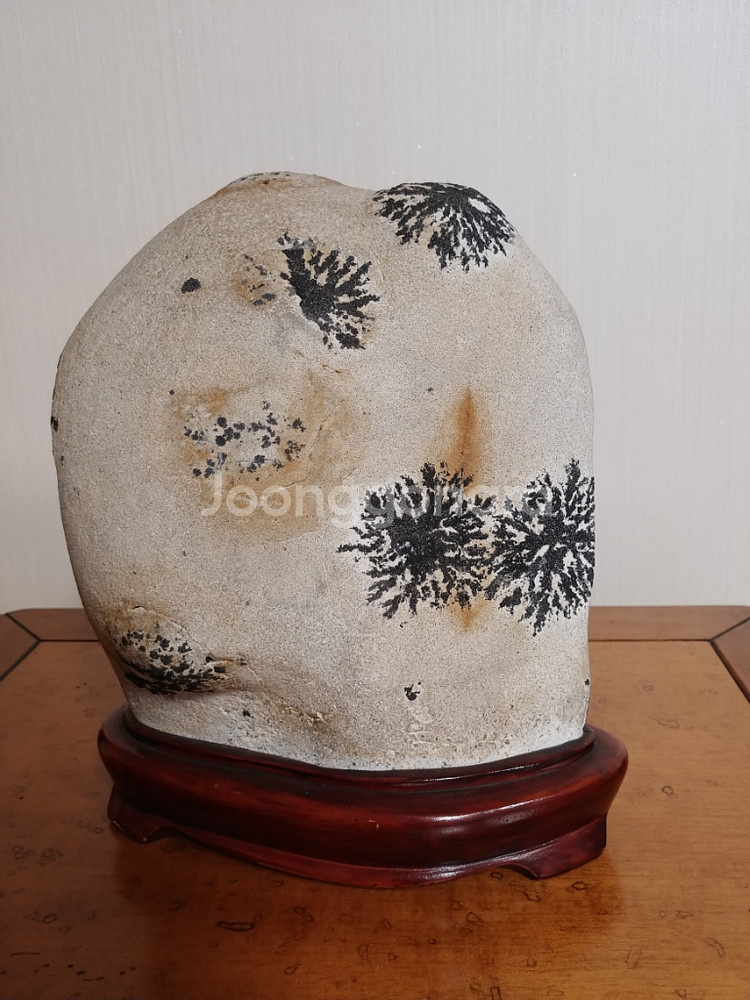 수석,자연석,꽃--3