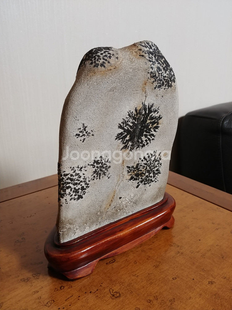 수석,자연석,꽃--4