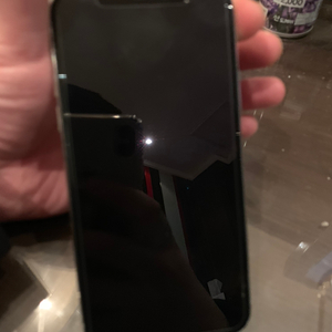 아이폰x256g