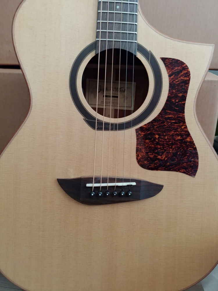 고퍼우드 G220CE 통기타 팝니다--1