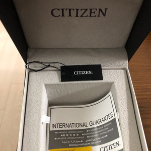 시티즌 CITIZEN BN2021-03E 프로마스터