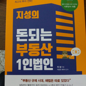 지성의 돈되는 부동산 1인법인