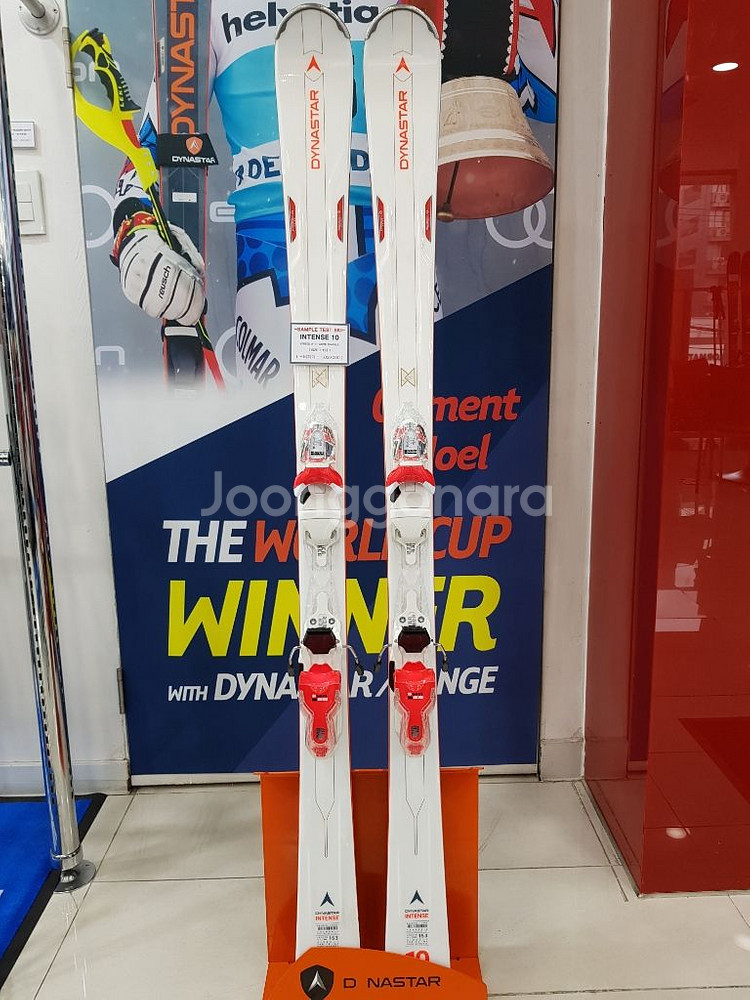 18/19 다이나스타 스키 INTENSE 10--0