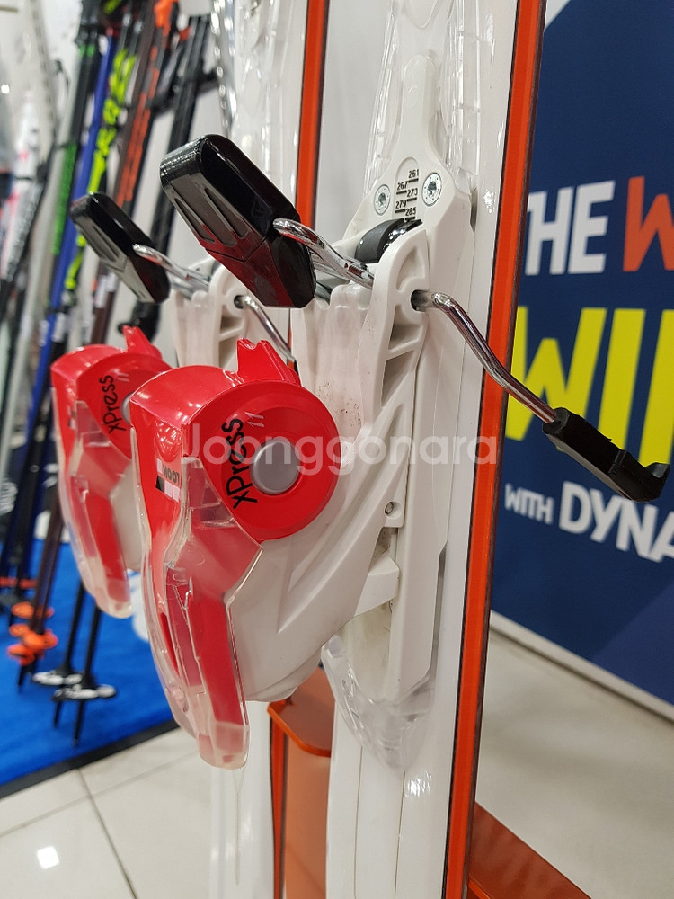 18/19 다이나스타 스키 INTENSE 10--3