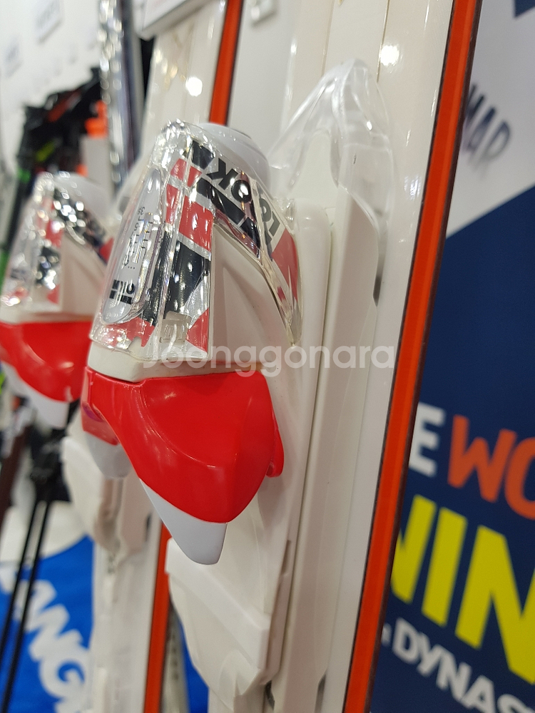 18/19 다이나스타 스키 INTENSE 10--4