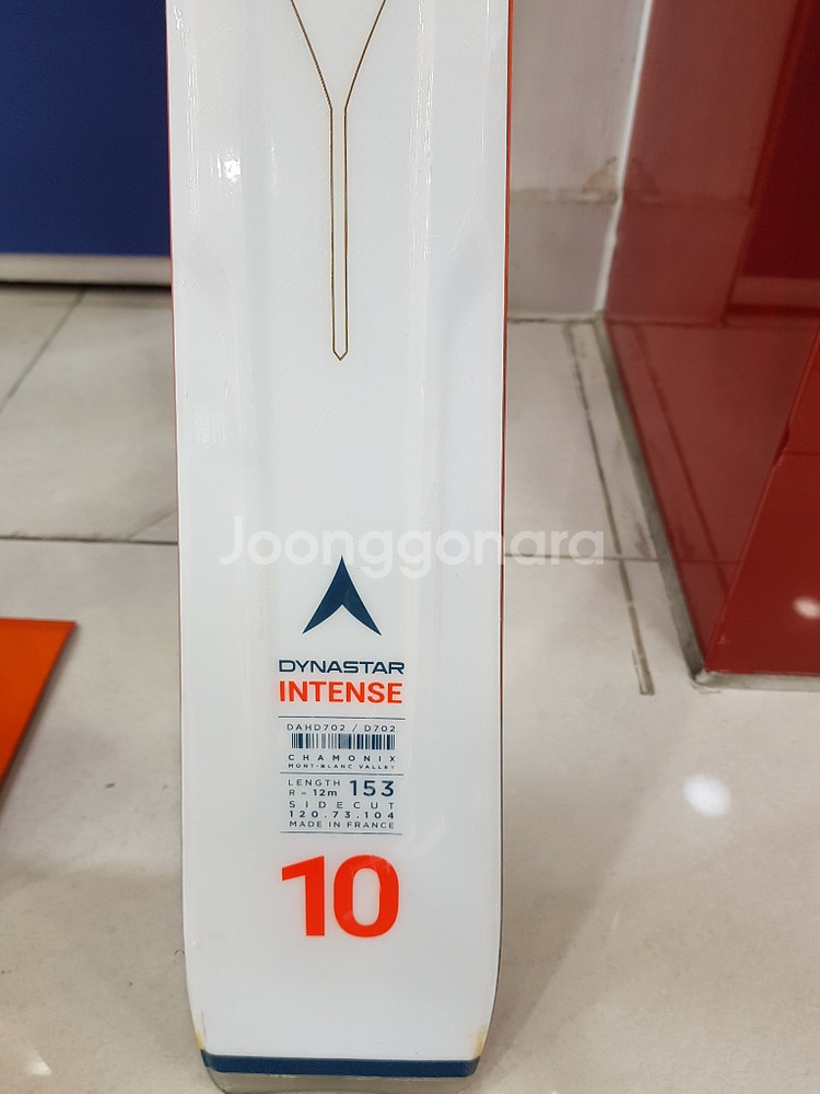 18/19 다이나스타 스키 INTENSE 10--5