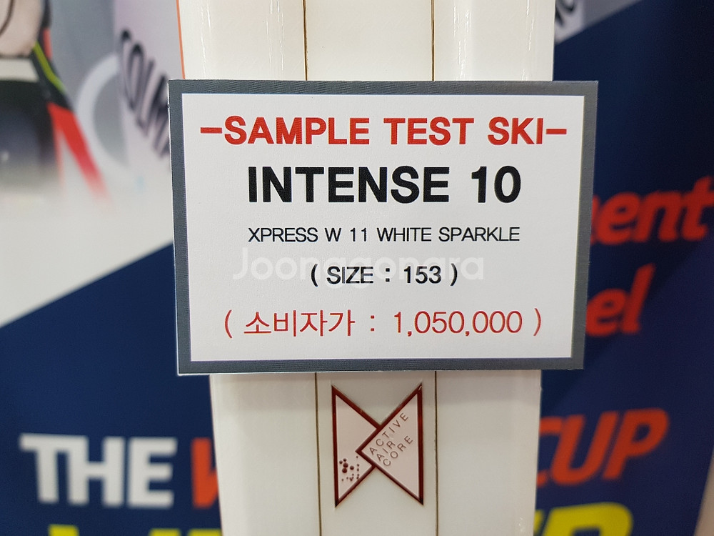 18/19 다이나스타 스키 INTENSE 10--7