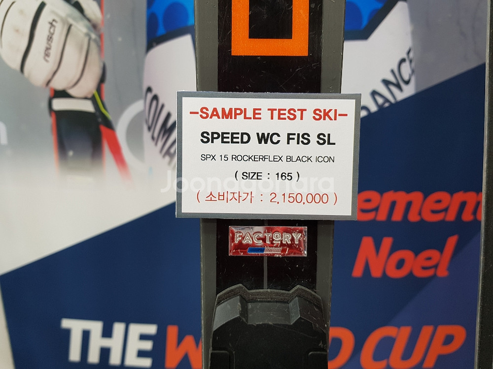 18/19 다이나스타 스키 SPEED WC FIS SL--8