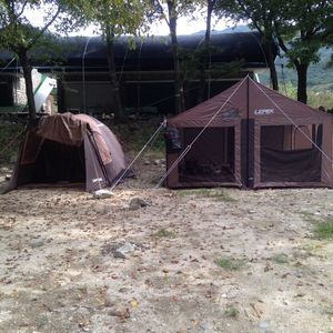 캠프타운 200 돔 텐트 판매합니다.