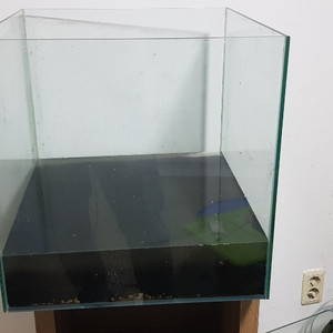큐프어항 450 소일새팅 2달
