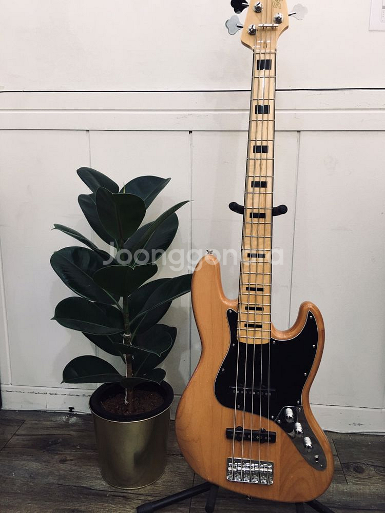 스콰이어 베이스vintage modified5현 팝니다--0