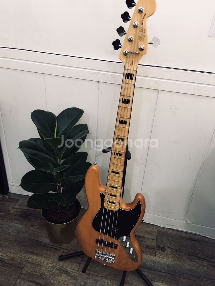 스콰이어 베이스vintage modified5현 팝니다--2