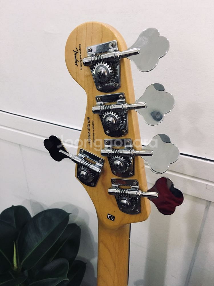 스콰이어 베이스vintage modified5현 팝니다--7