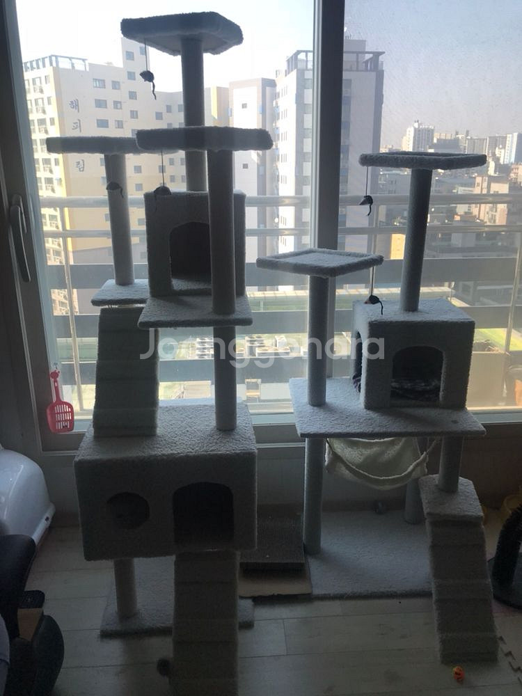 고양이 캣타워--0