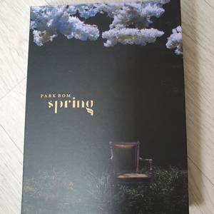 박봄 spring