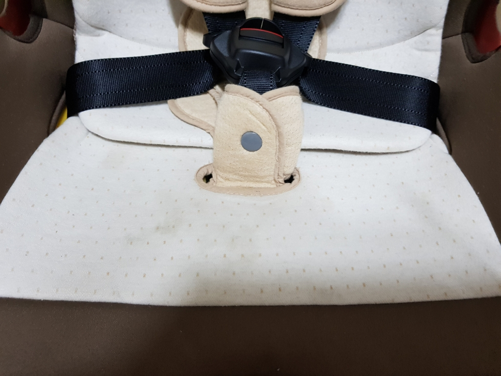 다이치 퍼스트세븐 오가닉 아이소픽스--3