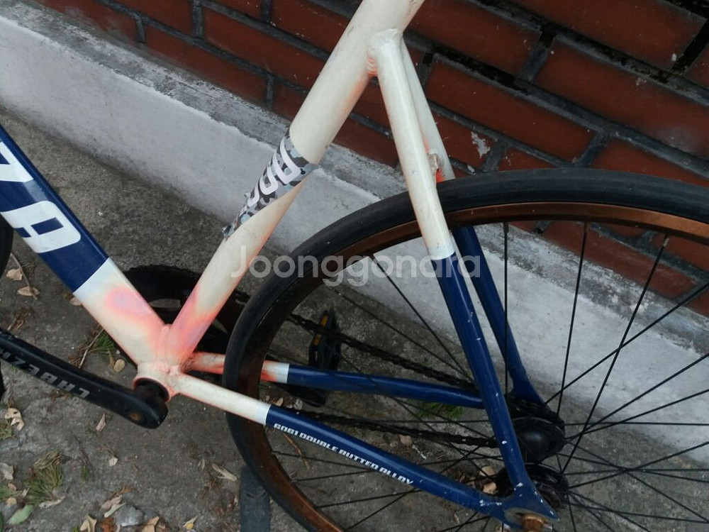 카베자 멀린 노브렉픽시--2