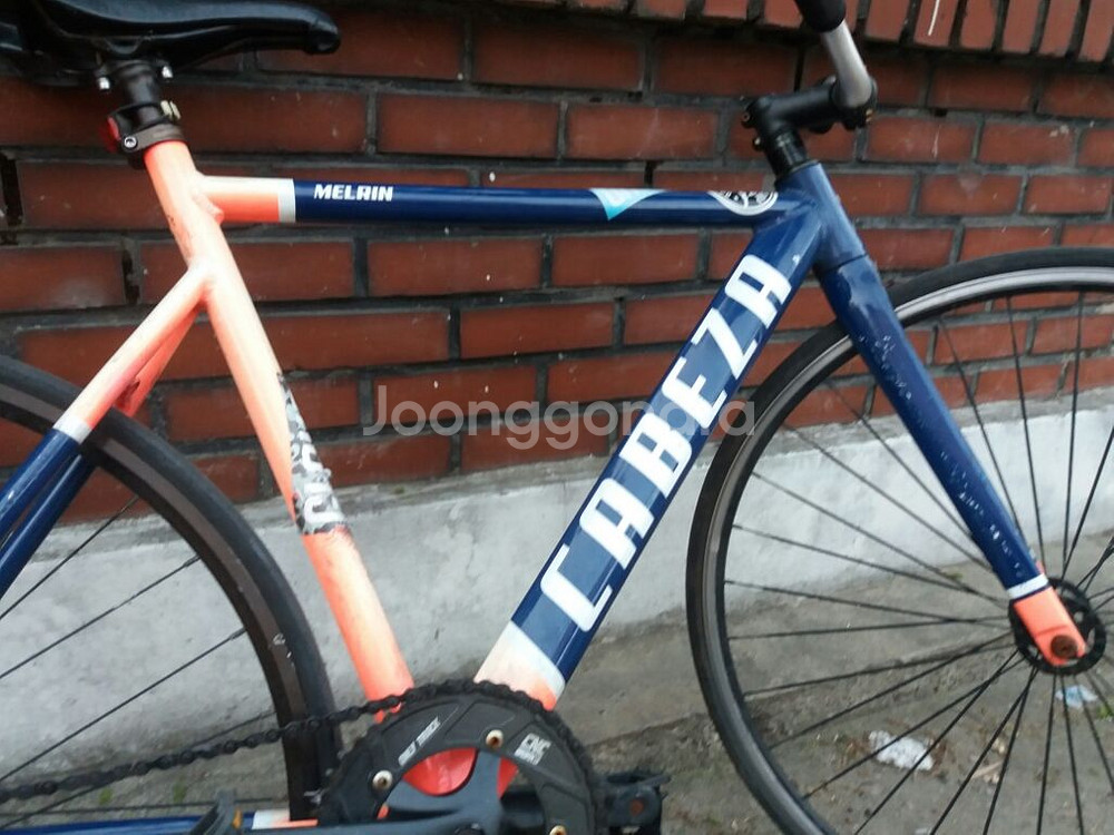 카베자 멀린 노브렉픽시--7